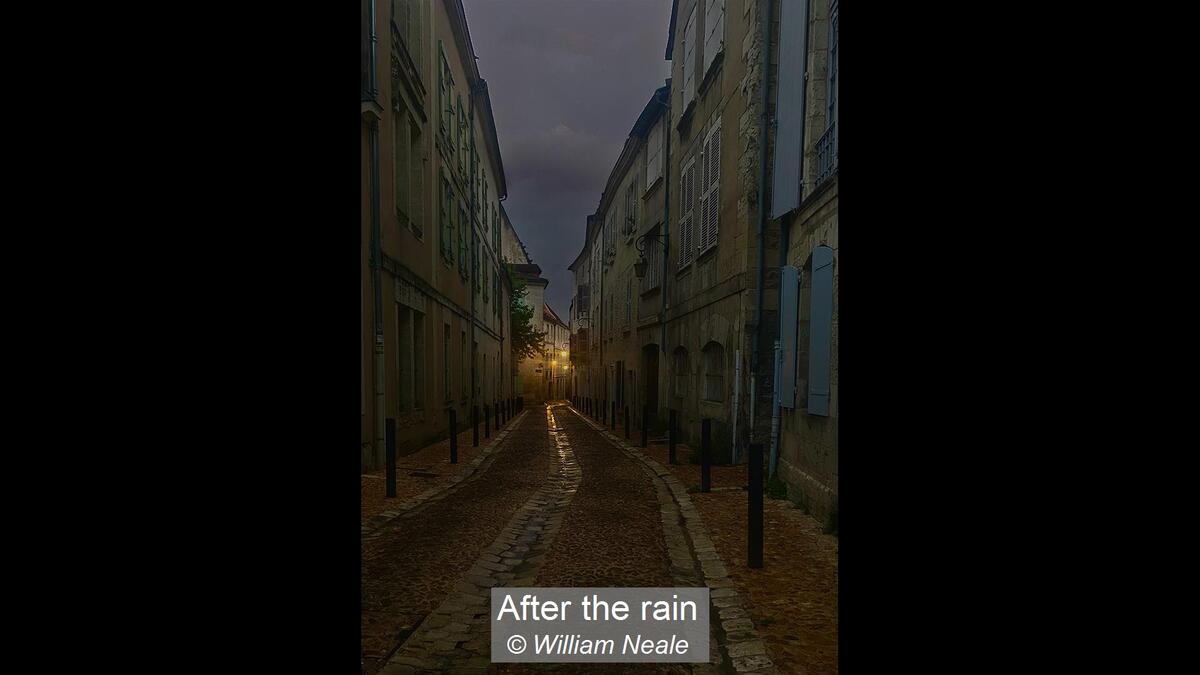 11_After the rain_William Neale